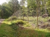 Hjorthägn