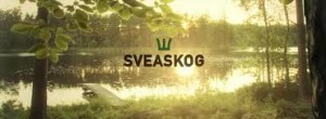 sveaskog logotyp